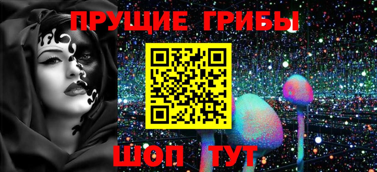 Тверь  Галлюциногенные грибы Magic Shrooms  Вход с VPN  Галлюциногенные грибы GOLDEN TEACHER 